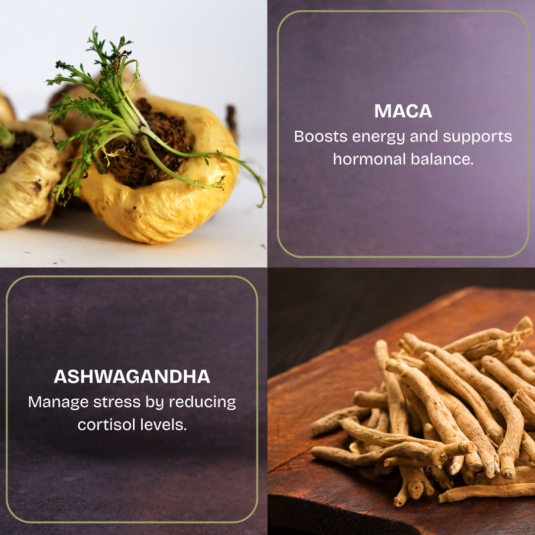 Ashwagandha & Maca - 6 Pouches