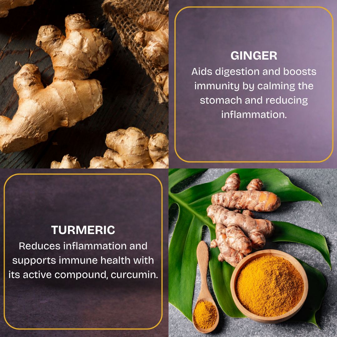 Ginger & Turmeric - 6 Pouches